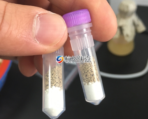 農科院利用宋慈土壤研磨儀提取土壤中微生物細胞