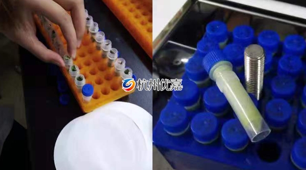 宋慈研磨儀批量研磨植物組織，速度快，重復性好